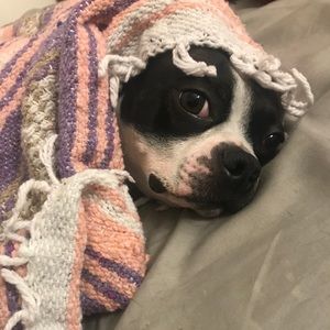 Meet your Posher, Vanesa